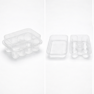 10-Slot Clear Plastic Storage Box for 3ml Vials – Secure Snap-Container