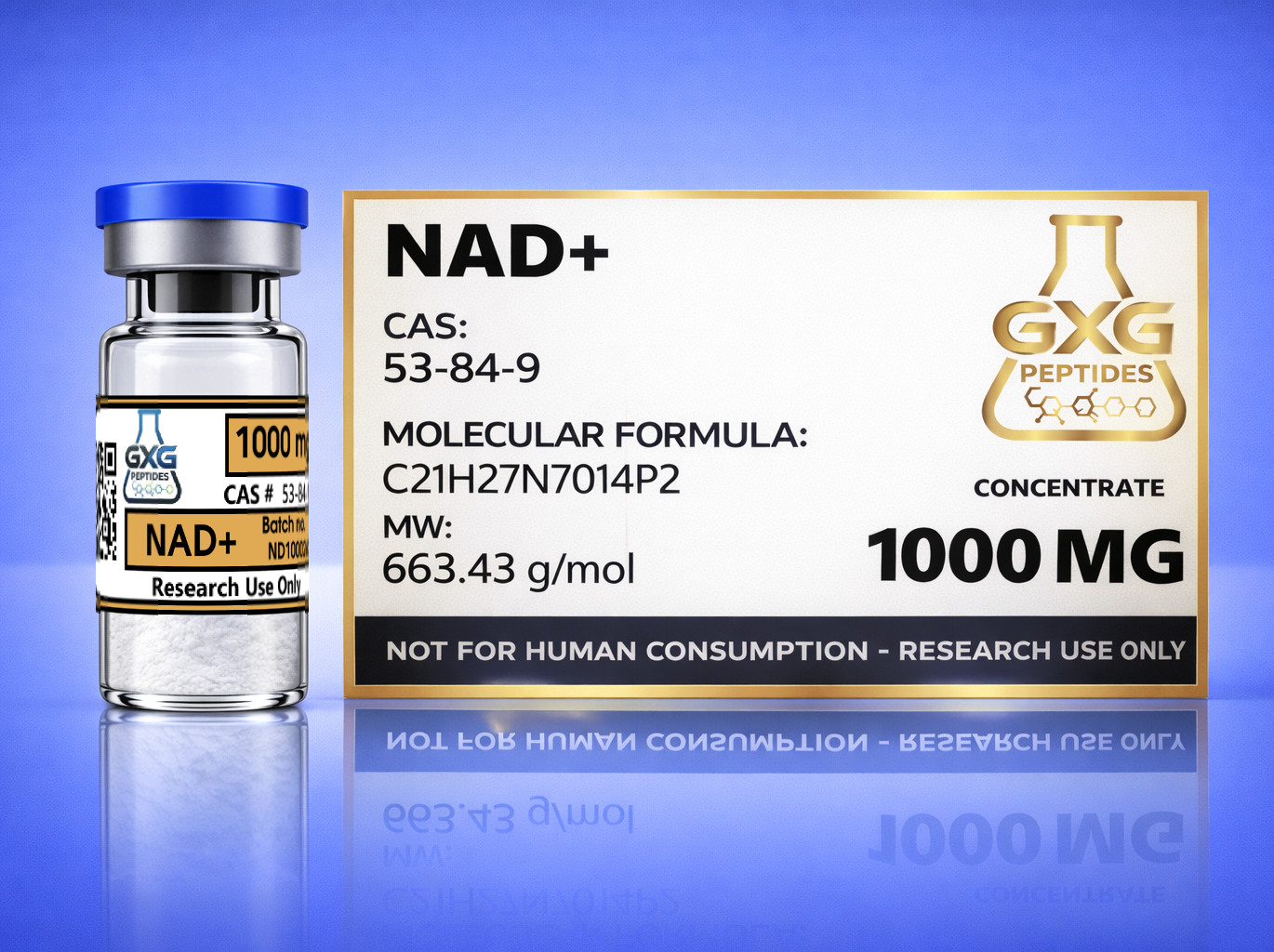NAD+ Peptide Vial (1000mg) - >99% Purity | Research Use Only - Image 3